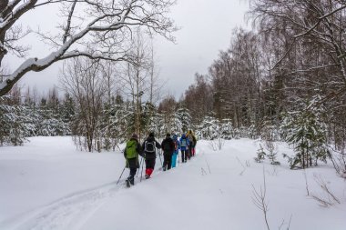 Turistler kış ormandaki küçük bir grup. 
