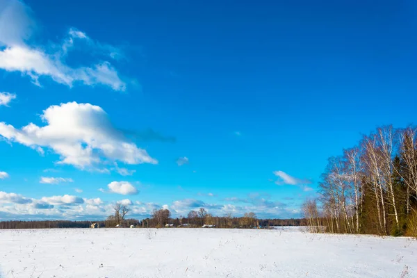 Kırsal manzara kış soğuk günde, Rusya Federasyonu. 