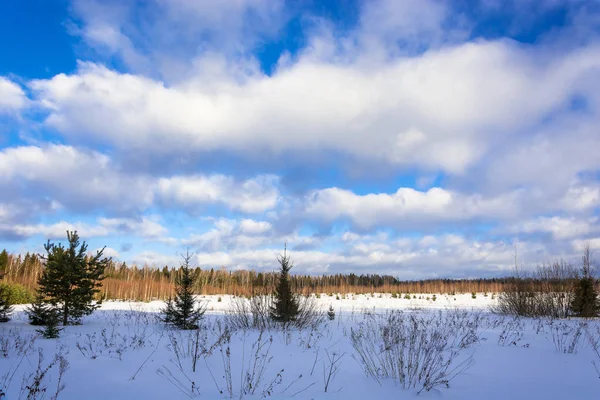 Paisagem de inverno no dia ensolarado de inverno . — Fotografia de Stock