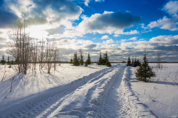 Kış manzara arka ışık. 