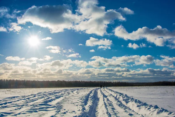 Paisagem de inverno na luz de fundo . — Fotografia de Stock