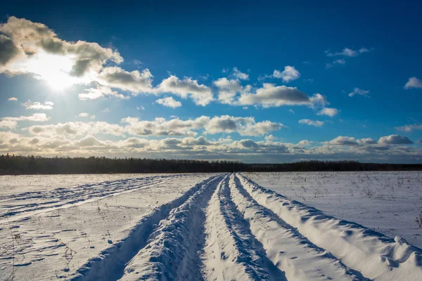 Paisagem de inverno na luz de fundo . — Fotografia de Stock