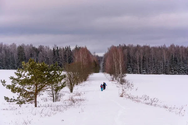 A small group of tourists in winter forest. — Stock Photo, Image