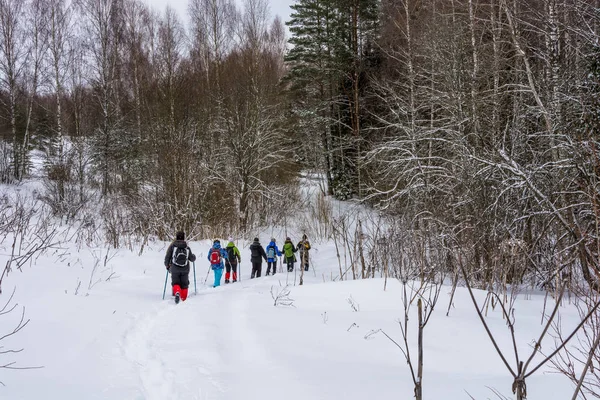 A small group of tourists in winter forest. — Stock Photo, Image