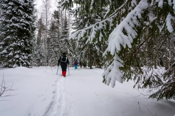 A small group of tourists in winter forest. — Stock Photo, Image