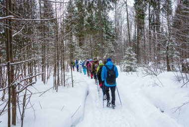Küçük bir grup turist karla kaplı orman üzerinde seyahat. 