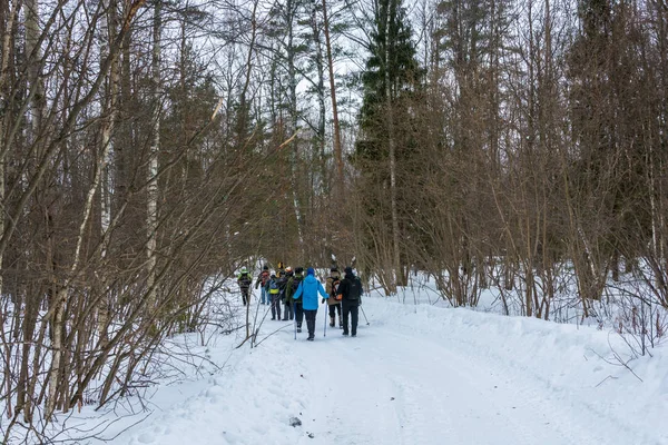 A small group of tourists traveling on snow-covered forest. — Stock Photo, Image