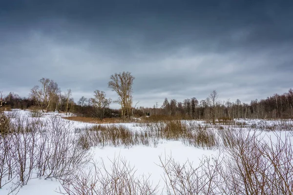 Linda paisagem de inverno. — Fotografia de Stock