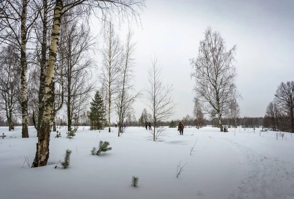 雪に覆われた森を走る観光客の小さなグループ. — ストック写真