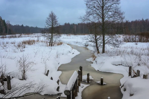 Paysage hivernal avec petite rivière. — Photo