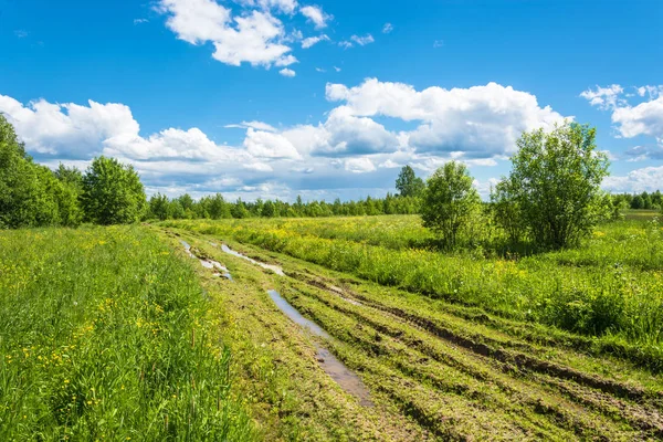 Polną drogą po deszczu. — Zdjęcie stockowe