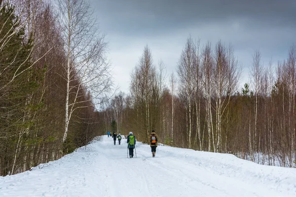 A small group of tourists traveling on snow-covered forest. — Stock Photo, Image