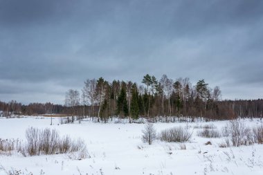 Güzel kış manzarası. 