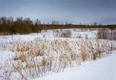 Güzel kış manzarası. 