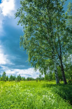 Takas için kutsal Pokrovsky azalan önce ormanda 