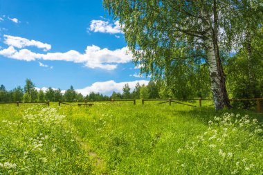 Takas için kutsal Pokrovsky azalan önce ormanda 