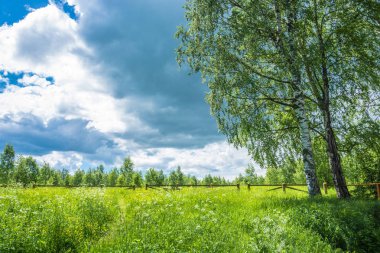 Takas için kutsal Pokrovsky azalan önce ormanda 
