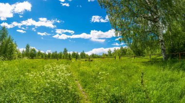 Takas için kutsal Pokrovsky azalan önce ormanda 