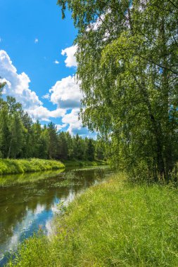 Küçük bir nehir, yaz yatay. 