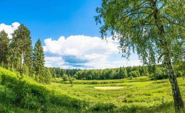 güzel yaz küçük bir nehir, yatay. 