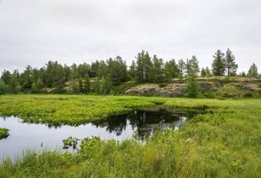 Onega Gölü bay üzerinde kayalık sahil. 