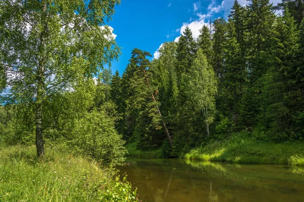 Paisaje de verano con un pequeño río . — Foto de Stock