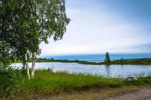 Vackra stranden av Onega viken. — Stockfoto