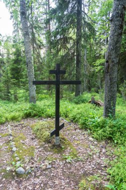Bu Solovki Sekirnaya dağda baskı altında toplu mezar yeri. 
