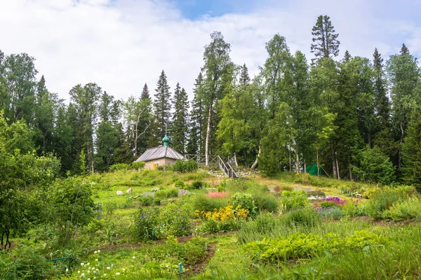 In the Botanical garden of the Solovetsky Islands. — Stock Photo, Image