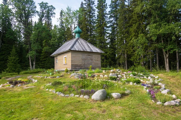 В ботанічному саду Соловки. — стокове фото