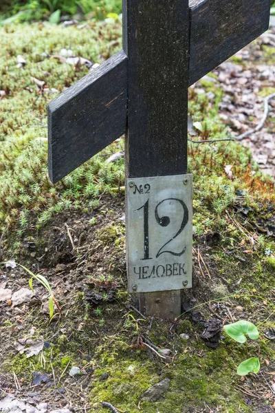 Bu Solovki Sekirnaya dağda baskı altında toplu mezar yeri. 