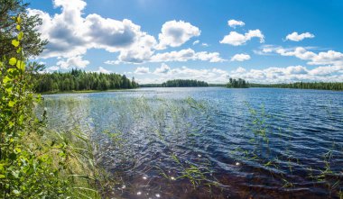 Büyük gölü olan güzel bir manzara.. 