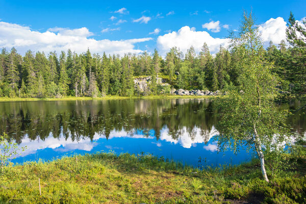 Beautiful landscape with a small lake. 