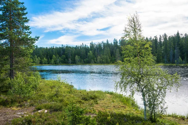 Hermoso paisaje con un pequeño lago. — Foto de Stock