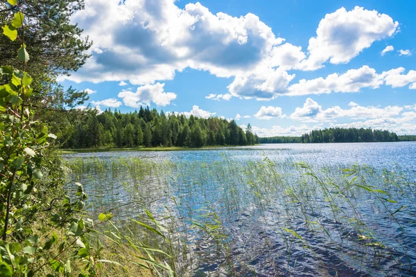 Büyük gölü olan güzel bir manzara.. 
