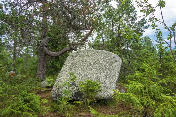 Rocas grandes rocas en la reserva natural del monte Vottovaara , — Foto de Stock