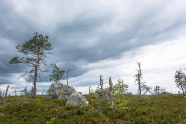 Mount Vottovaara doğa rezerv büyük kayalar kayalar, 