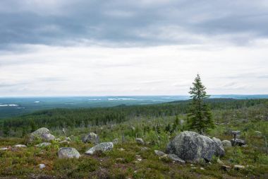 Dağ Vottovaara, Karelya görüntülemek. 