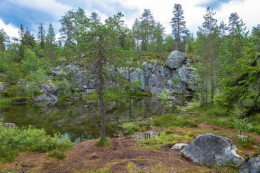 Karelya'nın kayalık kıyılarında küçük bir göl. 