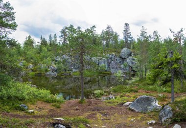 Karelya'nın kayalık kıyılarında küçük bir göl. 