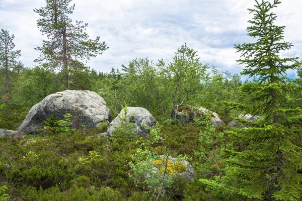 . Rocas grandes rocas en la reserva natural del monte Vottovaara — Foto de Stock