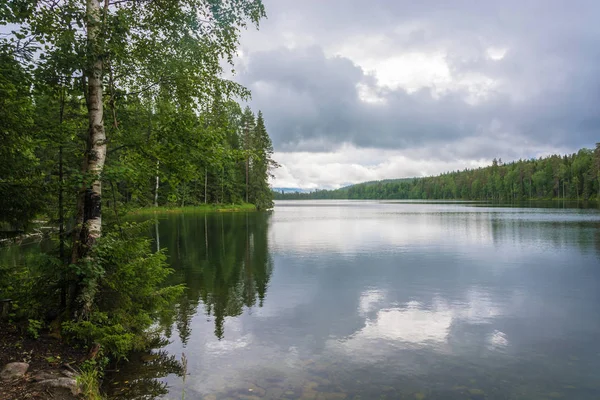 Lake forest shores in Karelia. — Stock Photo, Image