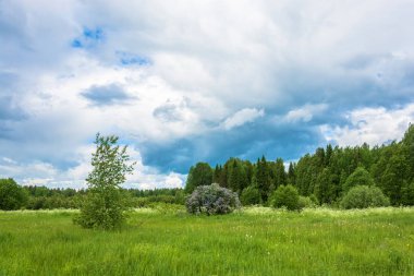 Bulutlu Gökyüzü ile Yaz Manzarası. 
