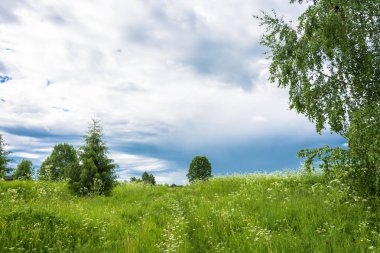 Bulutlu Gökyüzü ile Yaz Manzarası. 