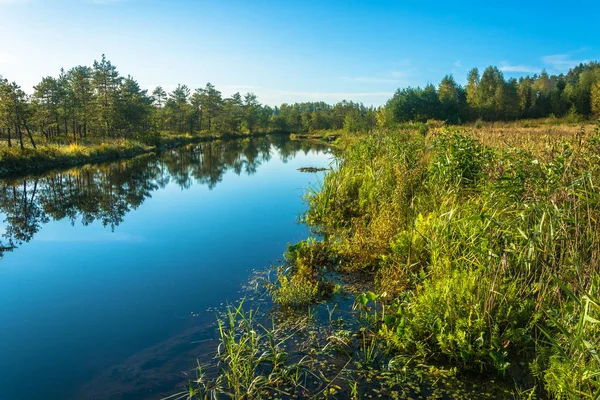 Herbstlandschaft mit kleinem See. — Stockfoto