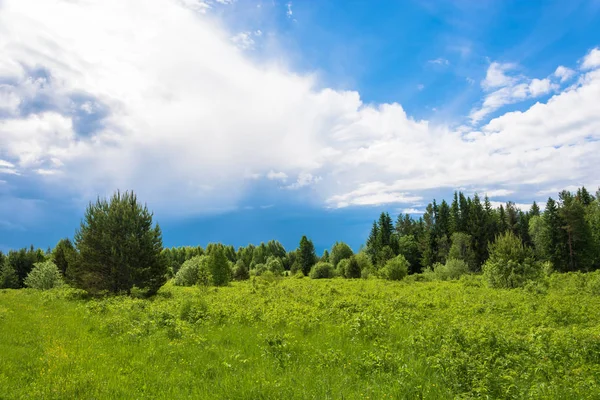 Bulutlu Gökyüzü ile Yaz Manzarası. 