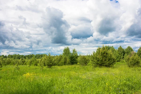 Letní krajina s oblačnou oblohou. — Stock fotografie