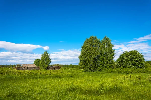 Ölü bir köy Burdovo manzara. 