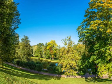 Peterhof Parkı küçük bir su birikintisi. 