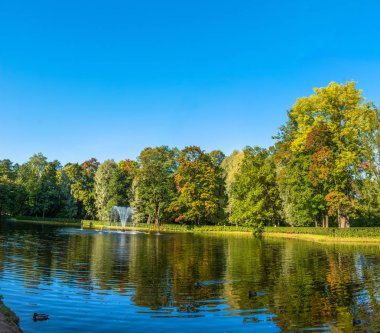 Peterhof Parkı bir çeşme ile küçük bir gölet. 